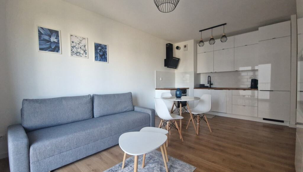 Apartment in Łódź, Księży Młyn, Śródmieście - Widok 3