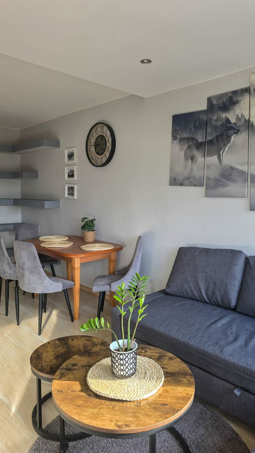 Apartment in Łódź, Teofilów-Wielkopolska, Bałuty - Widok 3