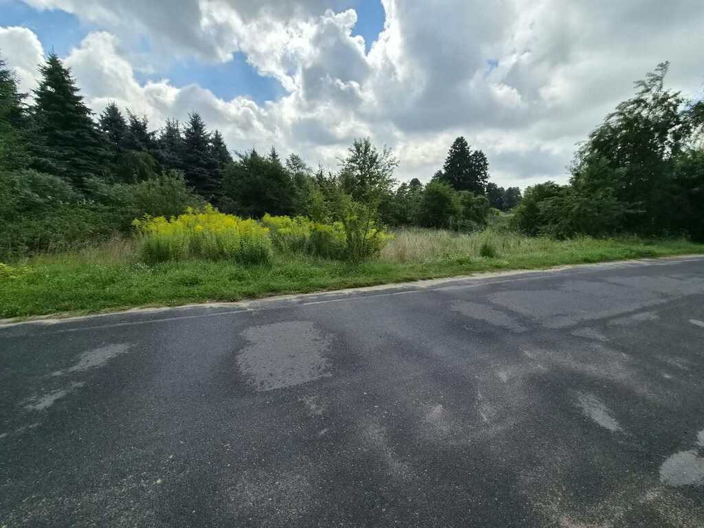 Działka przemysłowa w Łasku - Widok 2