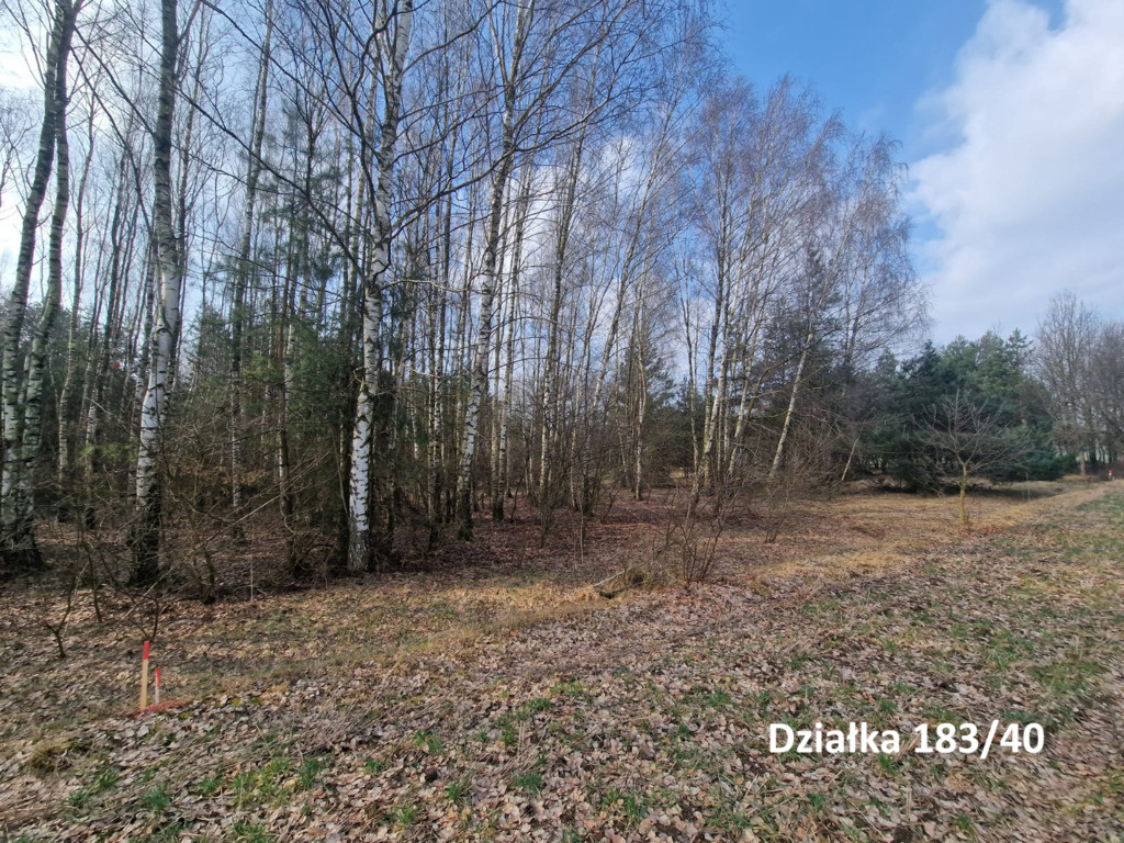 Działki rekreacyjne 30 minut od Łodzi - Widok 5