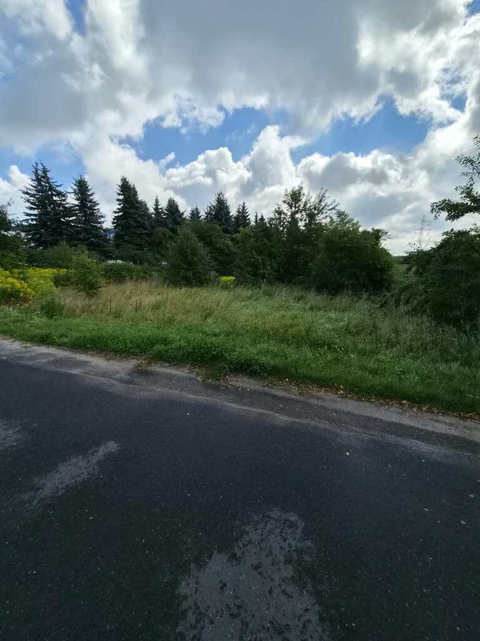 Działka przemysłowa w Łasku - Widok 4