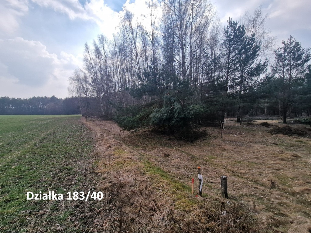 Działki rekreacyjne 30 minut od Łodzi - Widok 6