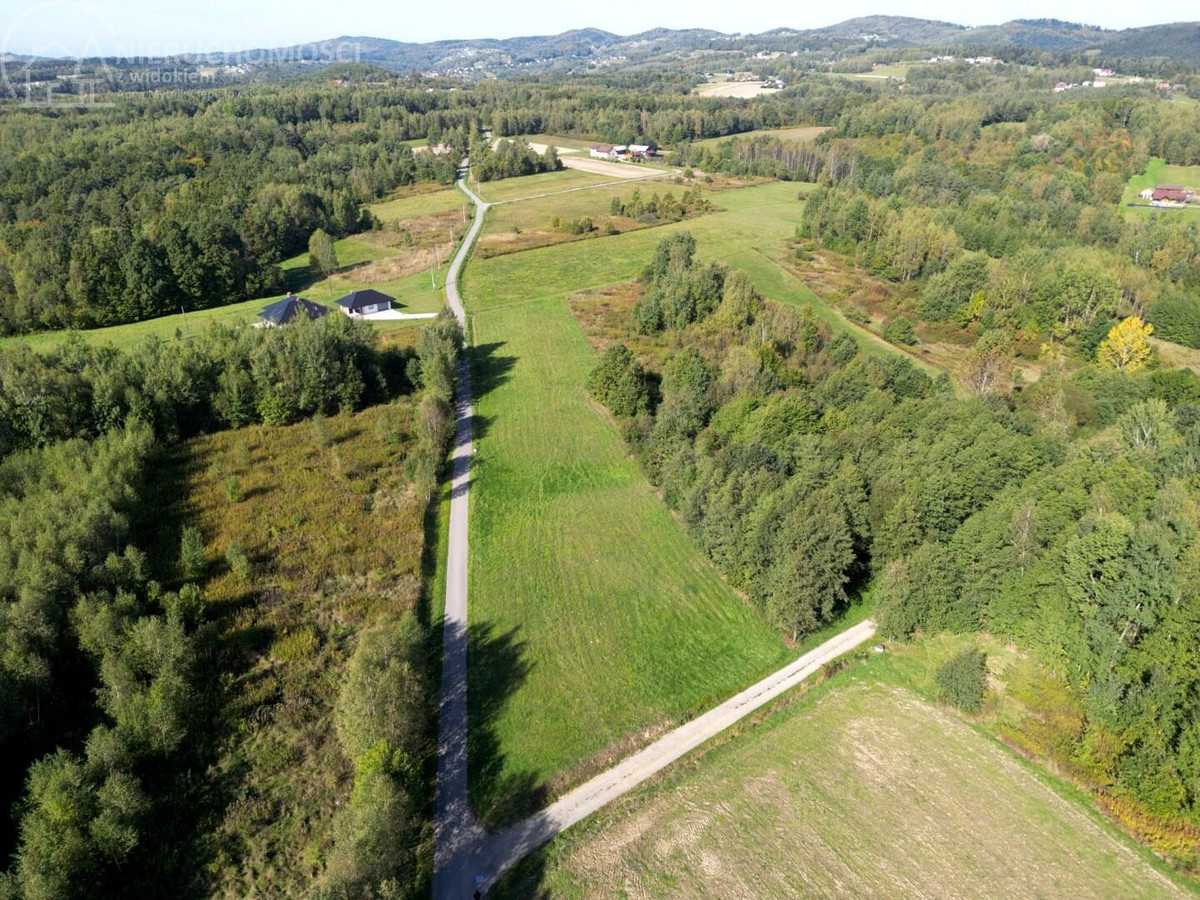 54 ARY W OŁPINACH – CISZA, PRZESTRZEŃ I ZABUDOWA ZAGRODOWA - Widok 2