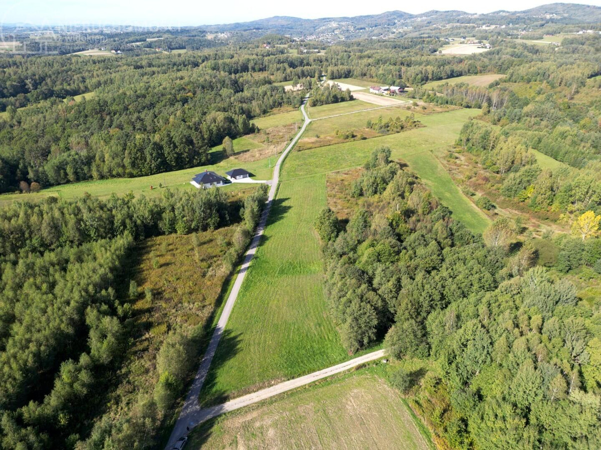 54 ARY W OŁPINACH – CISZA, PRZESTRZEŃ I ZABUDOWA ZAGRODOWA - Więcej
