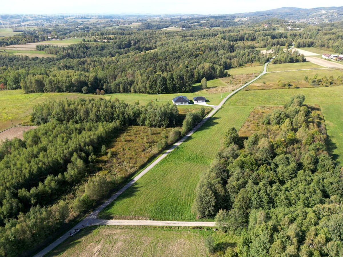 54 ARY W OŁPINACH – CISZA, PRZESTRZEŃ I ZABUDOWA ZAGRODOWA - Widok 5