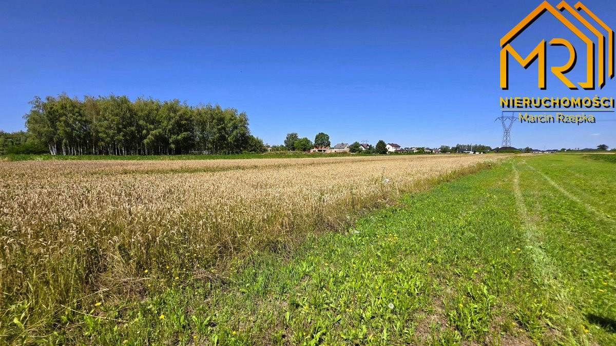 Działka z WZ w okolicy stawów – Łęg Tarnowski, gm - Widok 4