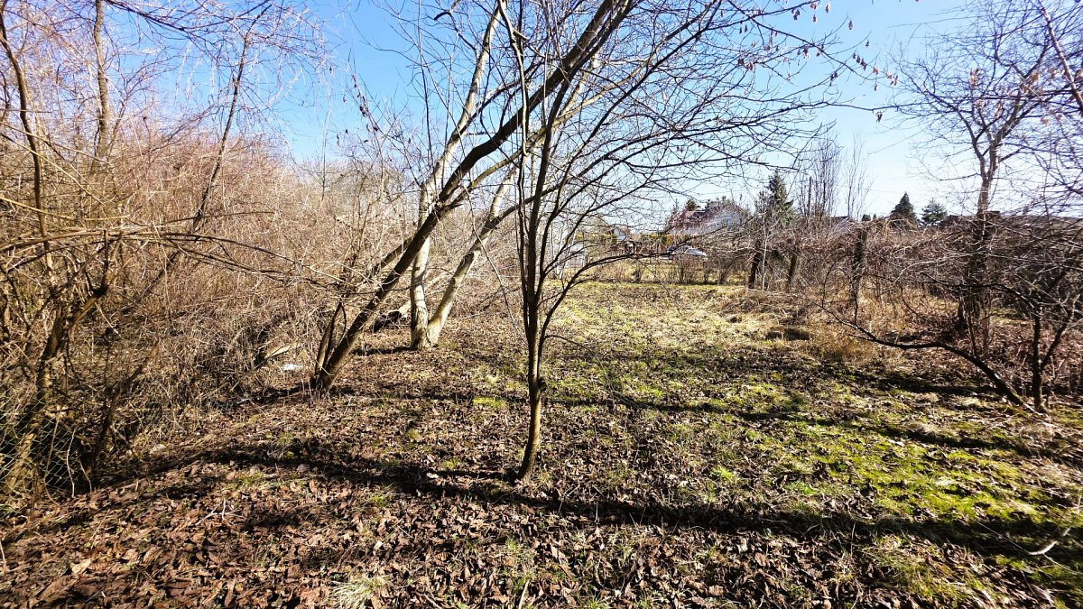 Działka z wydanymi WZ na dwa domy - Widok 6