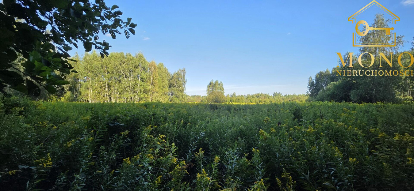 Działka 1,61 ha ok. 10 km od Buska-Zdrój - Widok 5