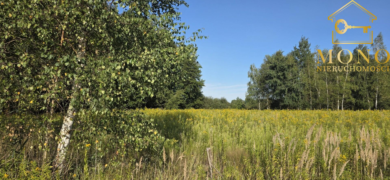 Działka 1,61 ha ok. 10 km od Buska-Zdrój - Widok 3