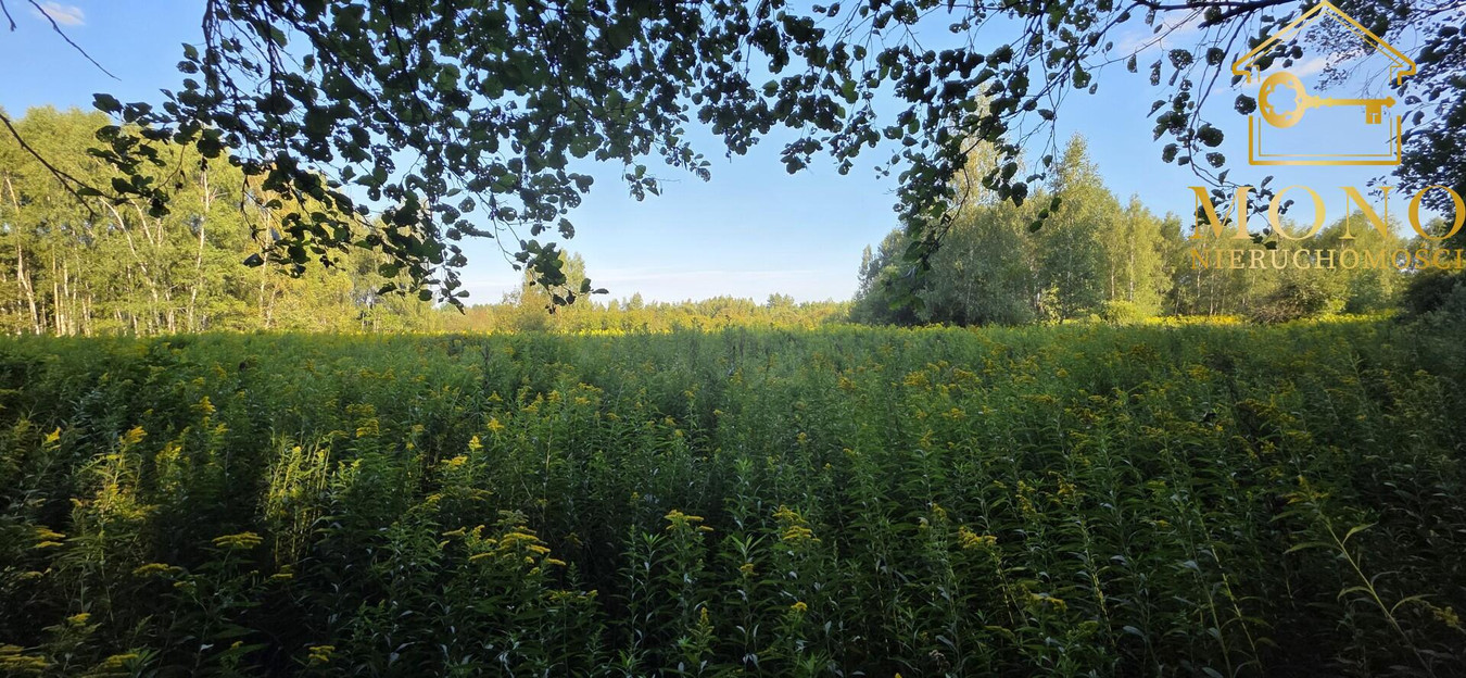 Działka 1,61 ha ok. 10 km od Buska-Zdrój - Więcej