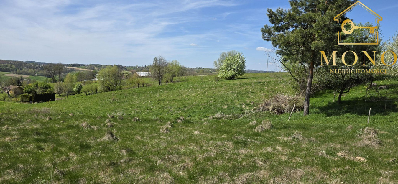 Widokowa działka 58 ar z WZ na 2 domy - Widok 2
