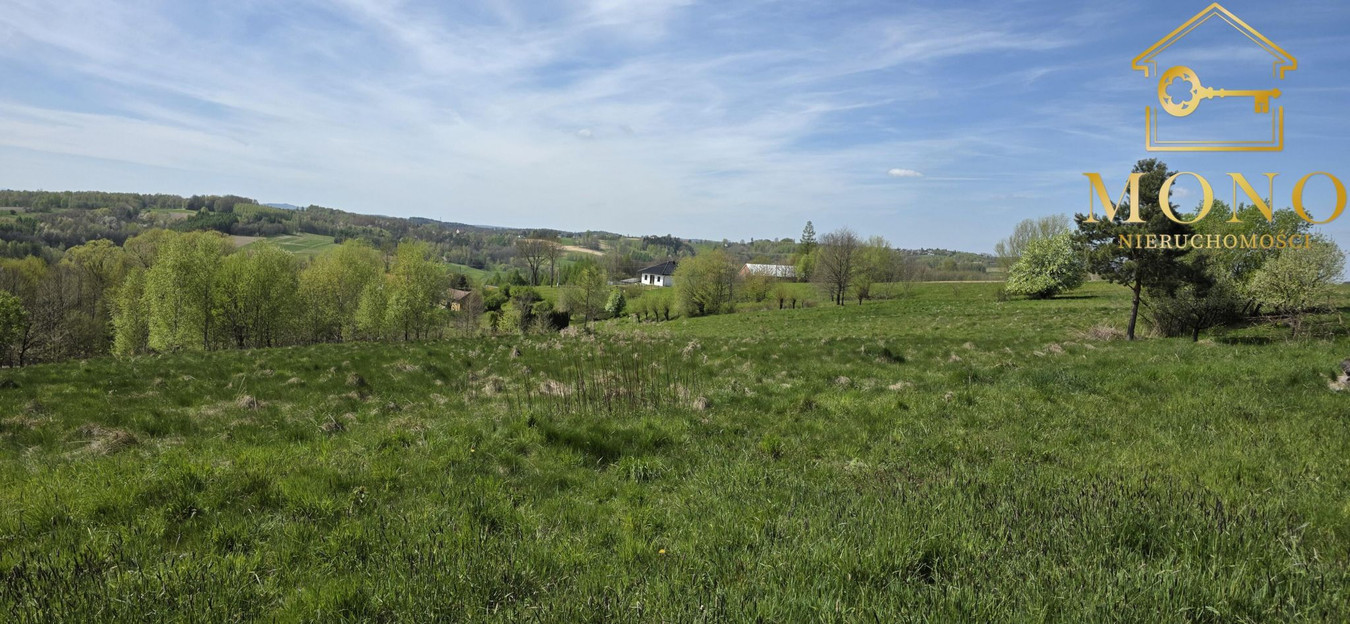 Widokowa działka 58 ar z WZ na 2 domy - Widok 5