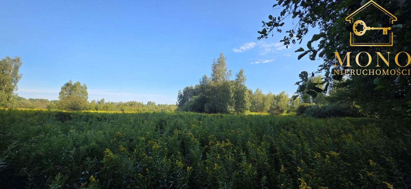 Działka 1,61 ha ok. 10 km od Buska-Zdrój - Widok 4