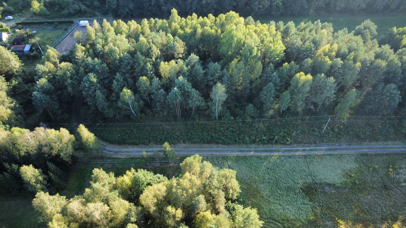 Piękna działka budowlana w otoczeniu lasów z MPZP, Tumlin-Osowa - Widok 2