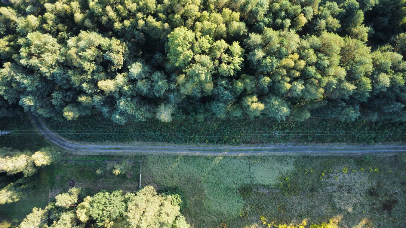 Piękna działka budowlana w otoczeniu lasów z MPZP, Tumlin-Osowa - Widok 3