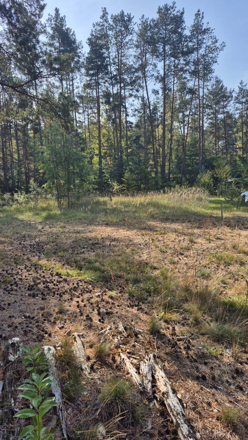 Działka budowlana - Widok 5