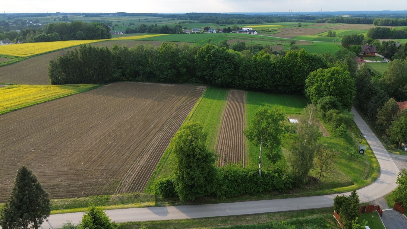 Atrakcyjna działka pod lasem - View 2