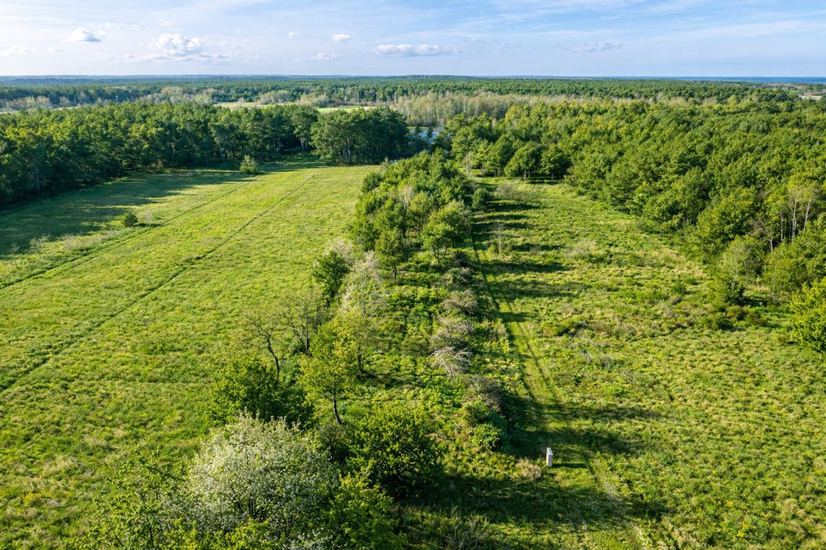 Działka blisko morza, Tupadły, Jastrzębia Góra - Widok 6