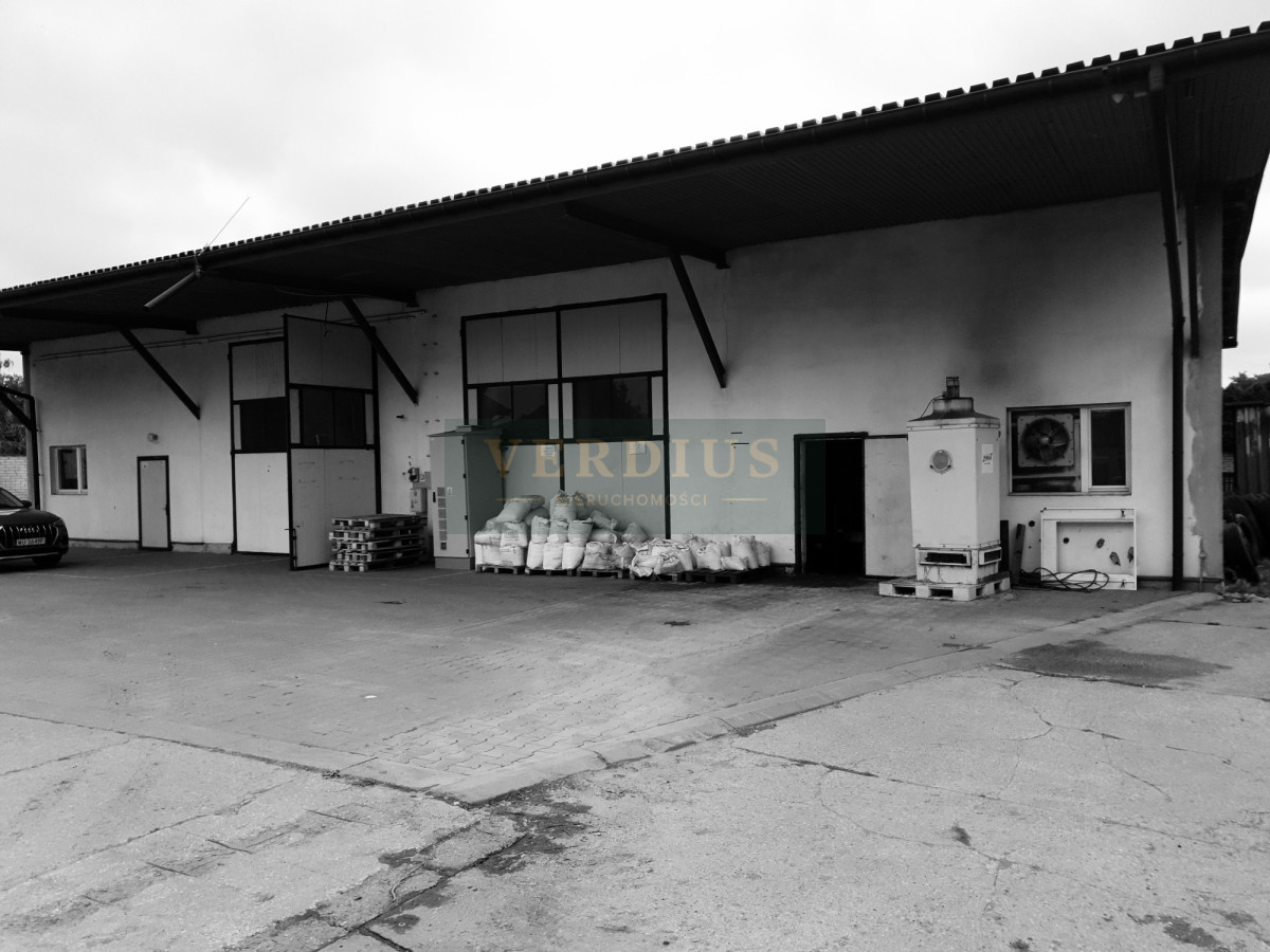 Hala, magazyn 450 m² do wejścia - Widok 3