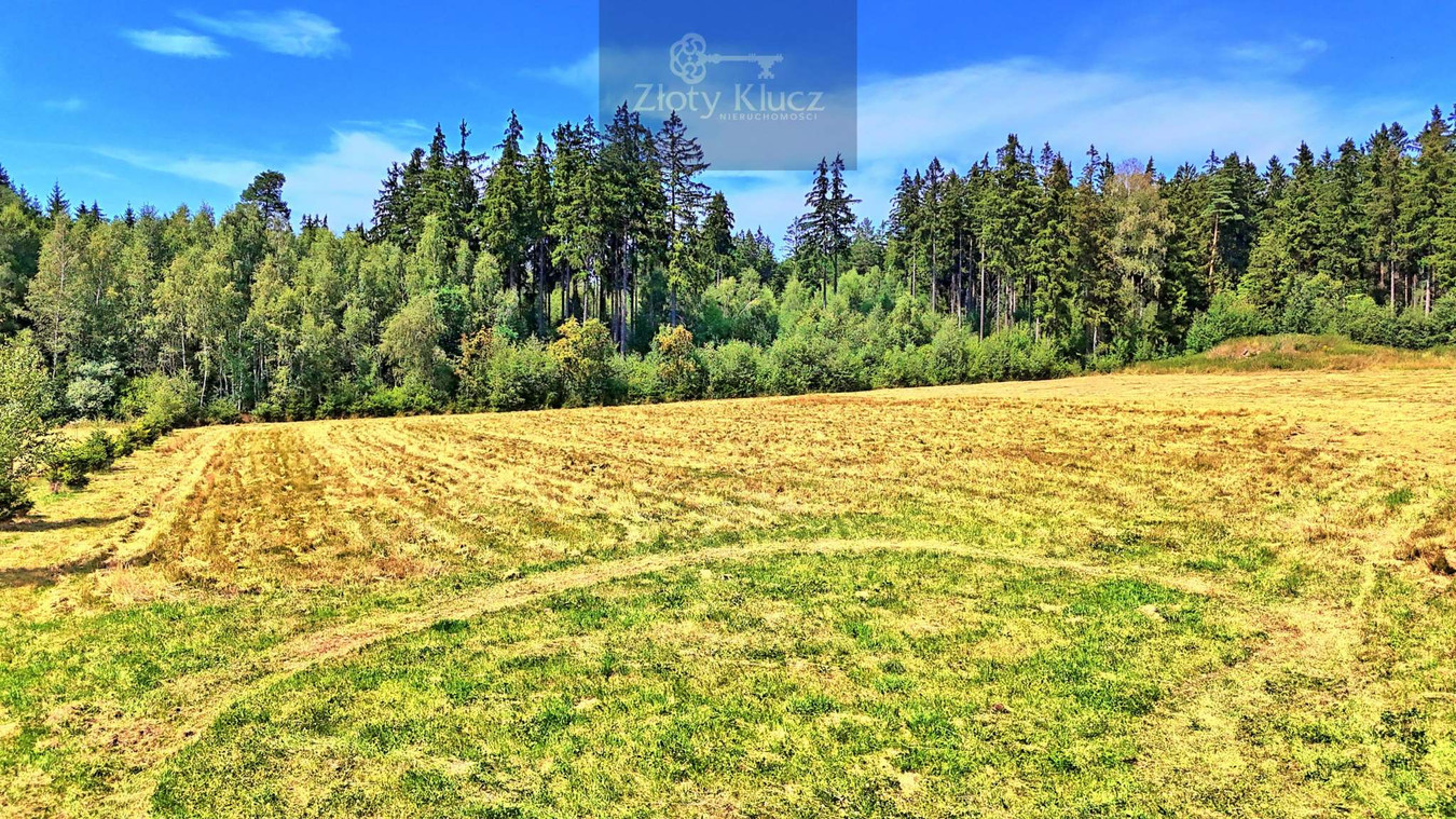 4 działki od 1200 m² | MPZP MN-U | Las i widok na góry | Borówno - Więcej
