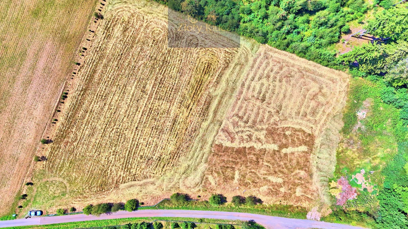 4 działki od 1200 m² | MPZP MN-U | Las i widok na góry | Borówno - Widok 2