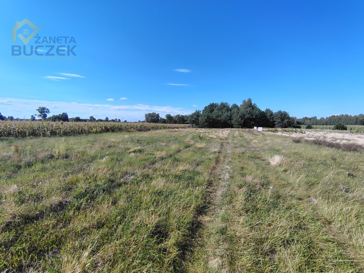 Atrakcyjna działka 1450 m² z MPZP | Dachowa | - Widok 4