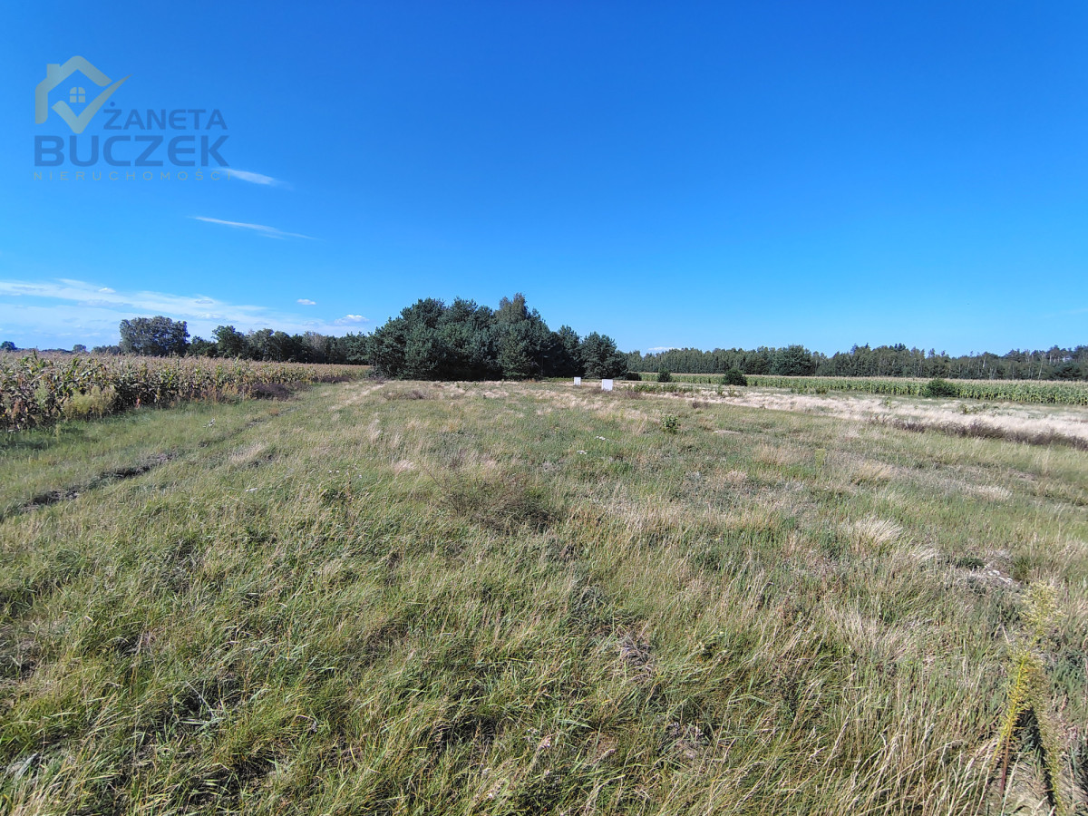 Atrakcyjna działka 1450 m² z MPZP | Dachowa | - Widok 5
