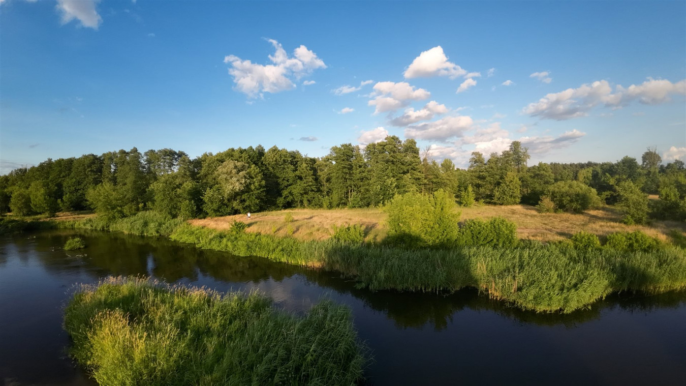 gratka-ATL-GS-133 - Widok 4