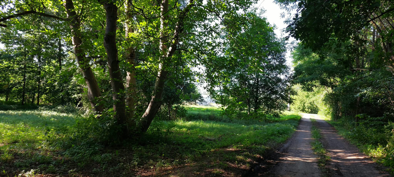 Urokliwa działka budowlana 2127 m² z lasem - Więcej