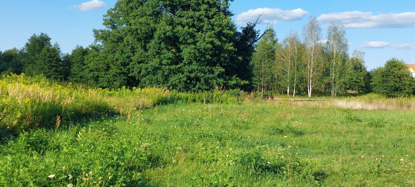 Urocza działka w zielonym zakątku pod Leoncinem - Widok 4
