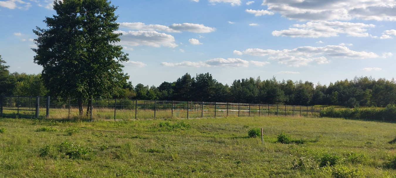 Urocza działka w zielonym zakątku pod Leoncinem - Więcej