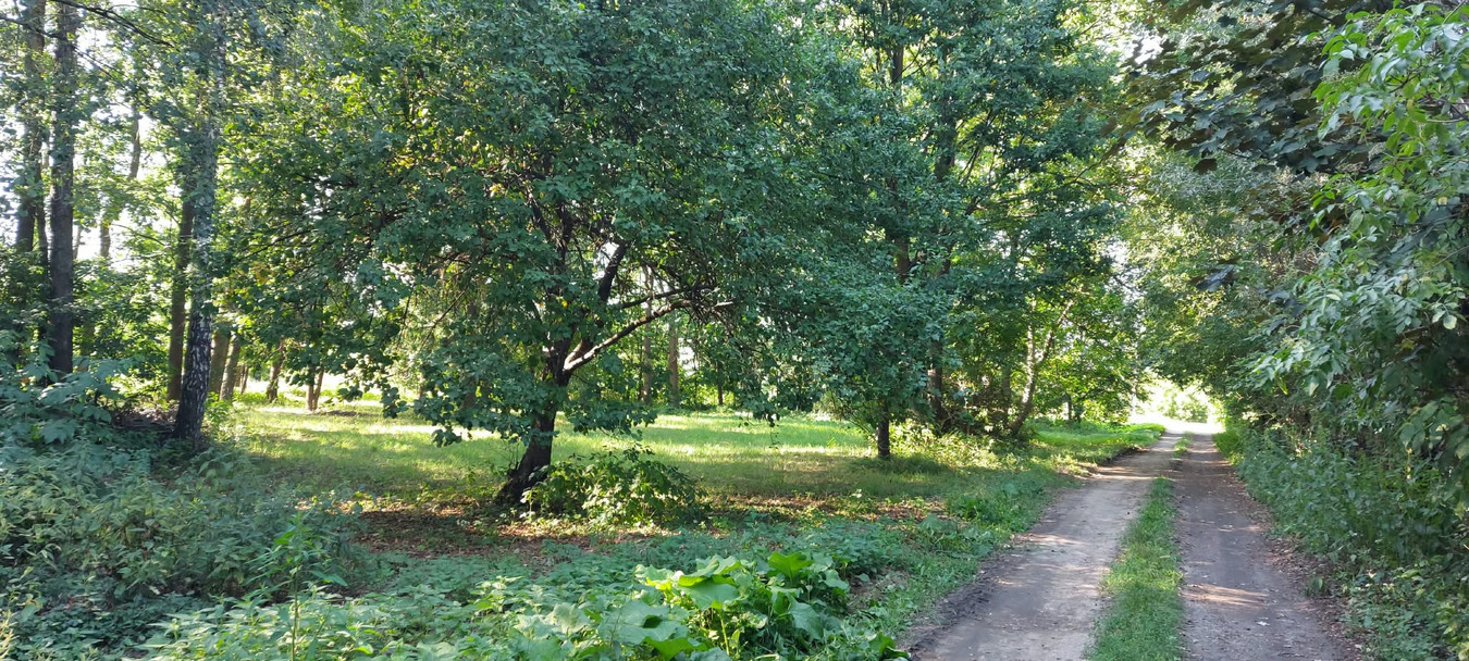 Urokliwa działka budowlana 2127 m² z lasem - Widok 2