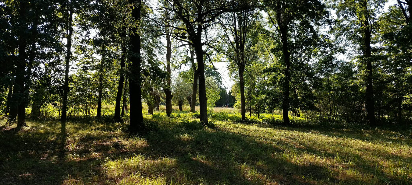 Urokliwa działka budowlana 2127 m² z lasem - Widok 3