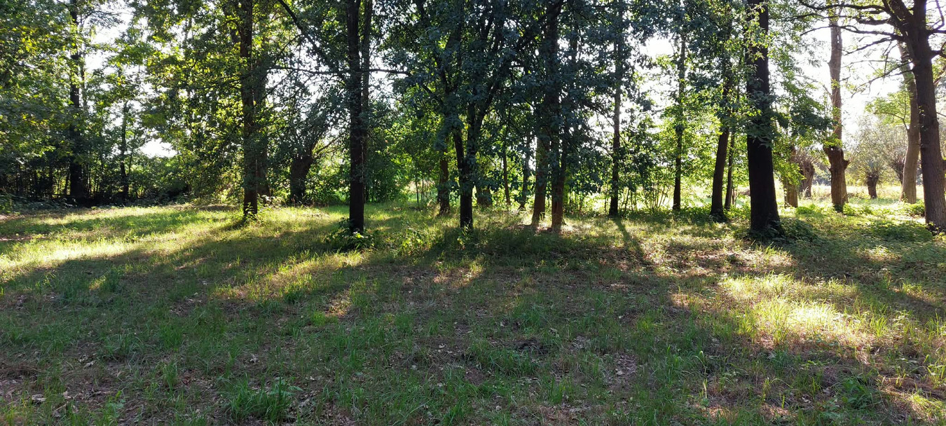 Urokliwa działka budowlana 2127 m² z lasem - Widok 4