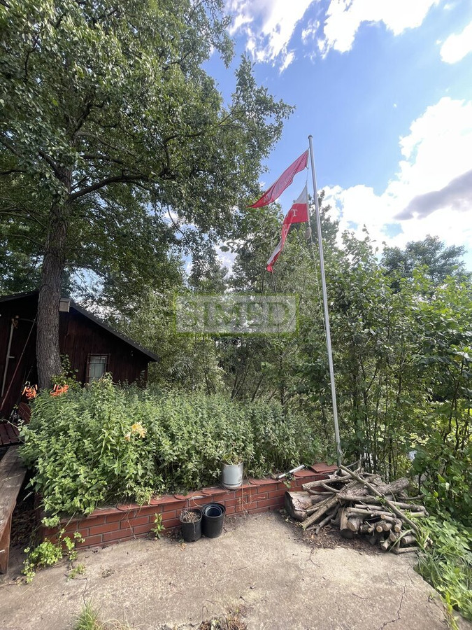 Staw z zagajnikiem na działce budowlanej wydana WZ - Widok 2