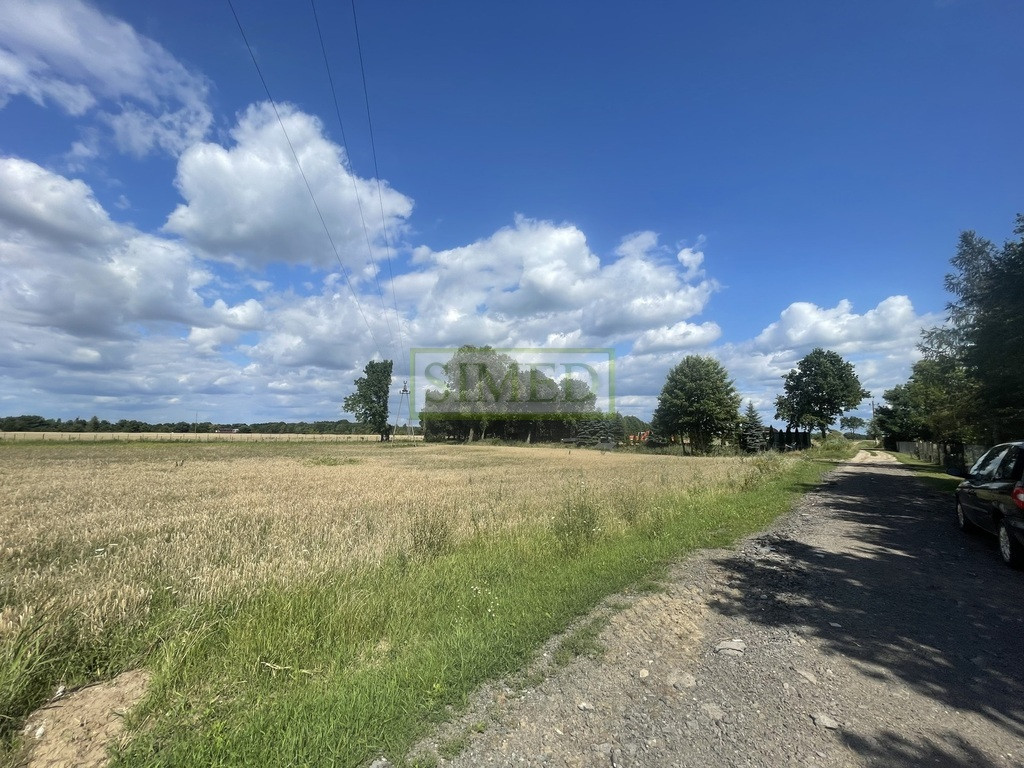 Działku budowlana, ze stawem i zagajnikiem - Widok 3