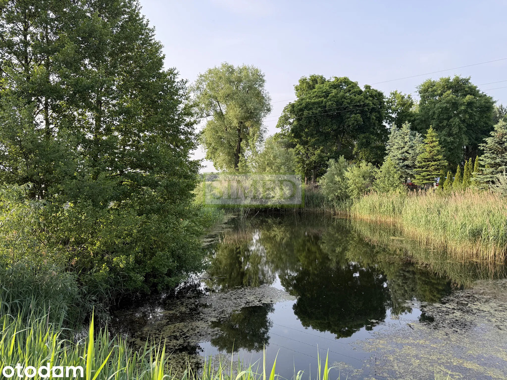 Działku budowlana, ze stawem i zagajnikiem - Widok 2