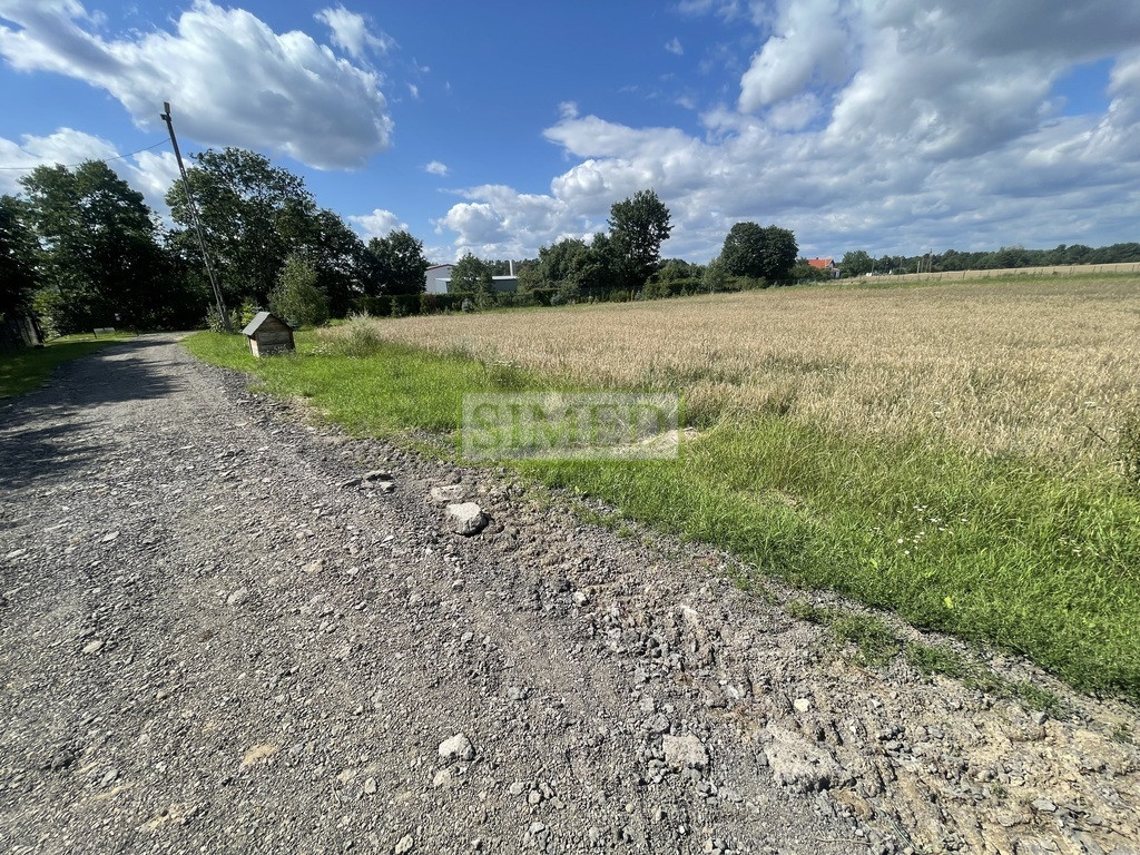 Działka blisko stawów, lasu, kanału rzecznego , - Widok 3