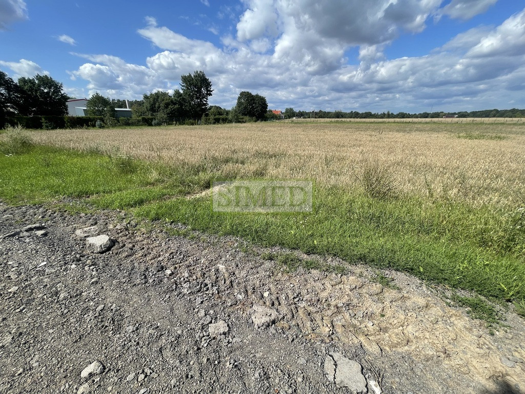 Działka blisko stawów, lasu, kanału rzecznego , - Widok 4