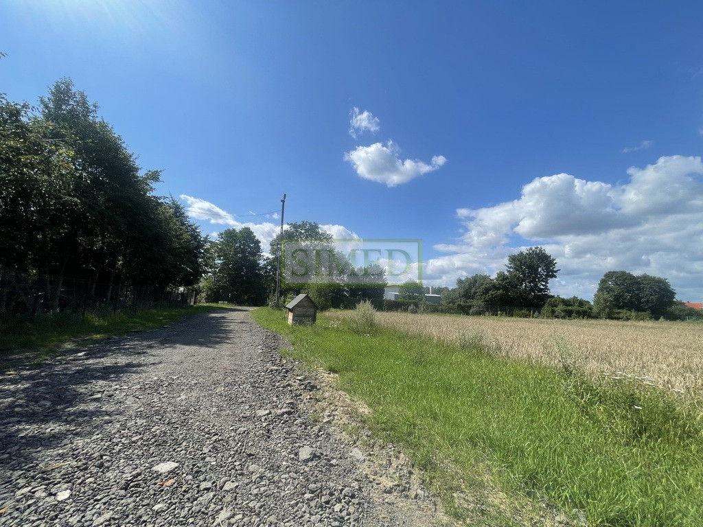 Działka blisko stawów, lasu, kanału rzecznego , - Widok 2