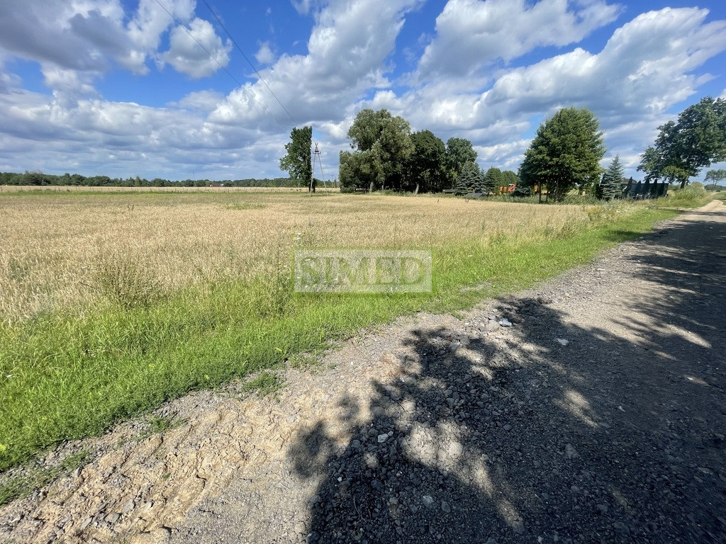 Działka blisko stawów, lasu, kanału rzecznego , - Widok 5