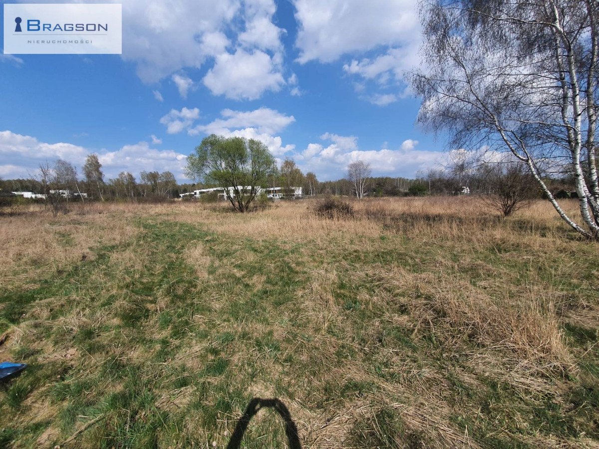 Prestiżowa lokalizacja, 1 km od Pogoria III, zielona i spokojna okolica