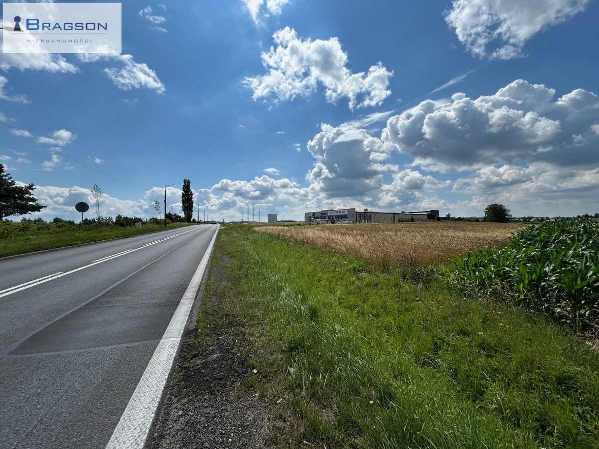 Duża działka usługowo - handlowa, bezpośrednio przy DK-11, duży ruch samochodowy