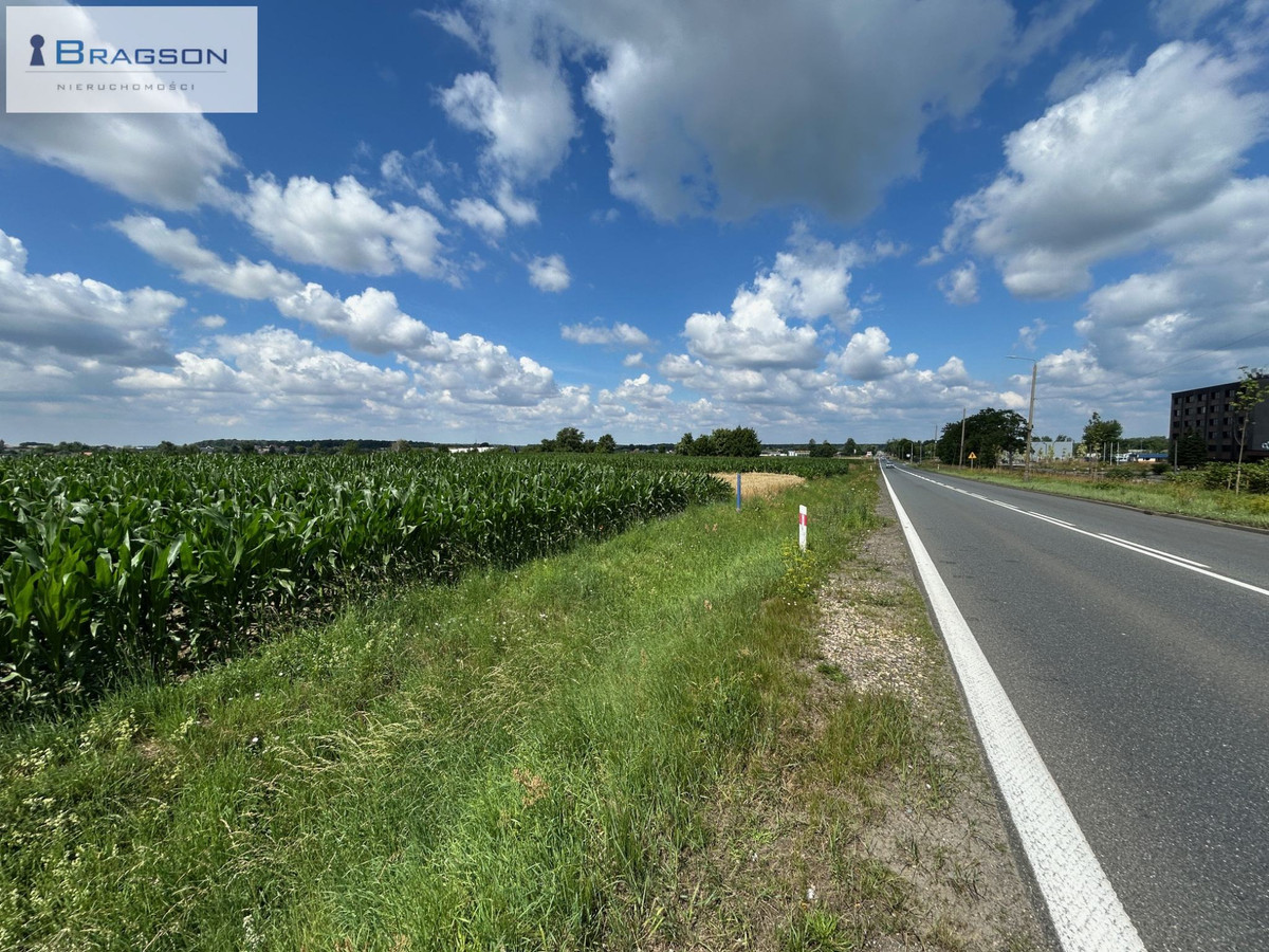 Duża działka usługowo - handlowa, bezpośrednio przy DK-11, duży ruch samochodowy - Widok 2