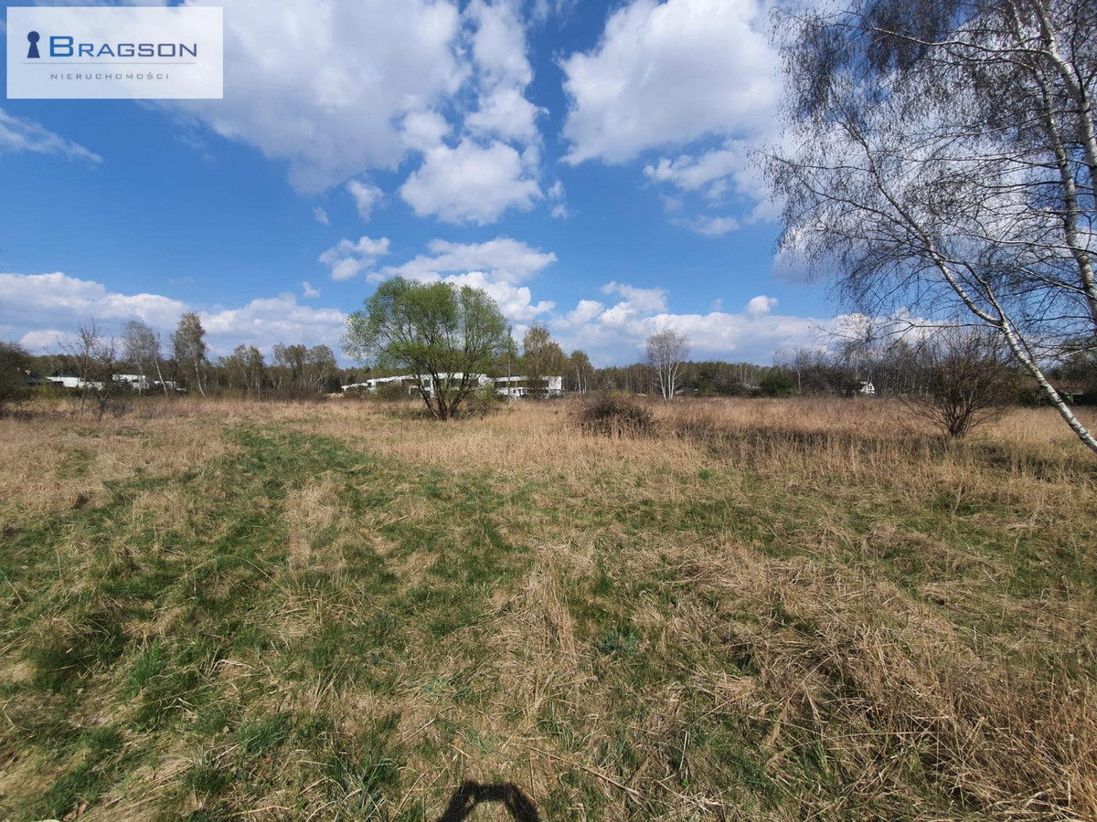 Prestiżowa lokalizacja, 1 km od Pogoria III, zielona i spokojna okolica - Widok 4