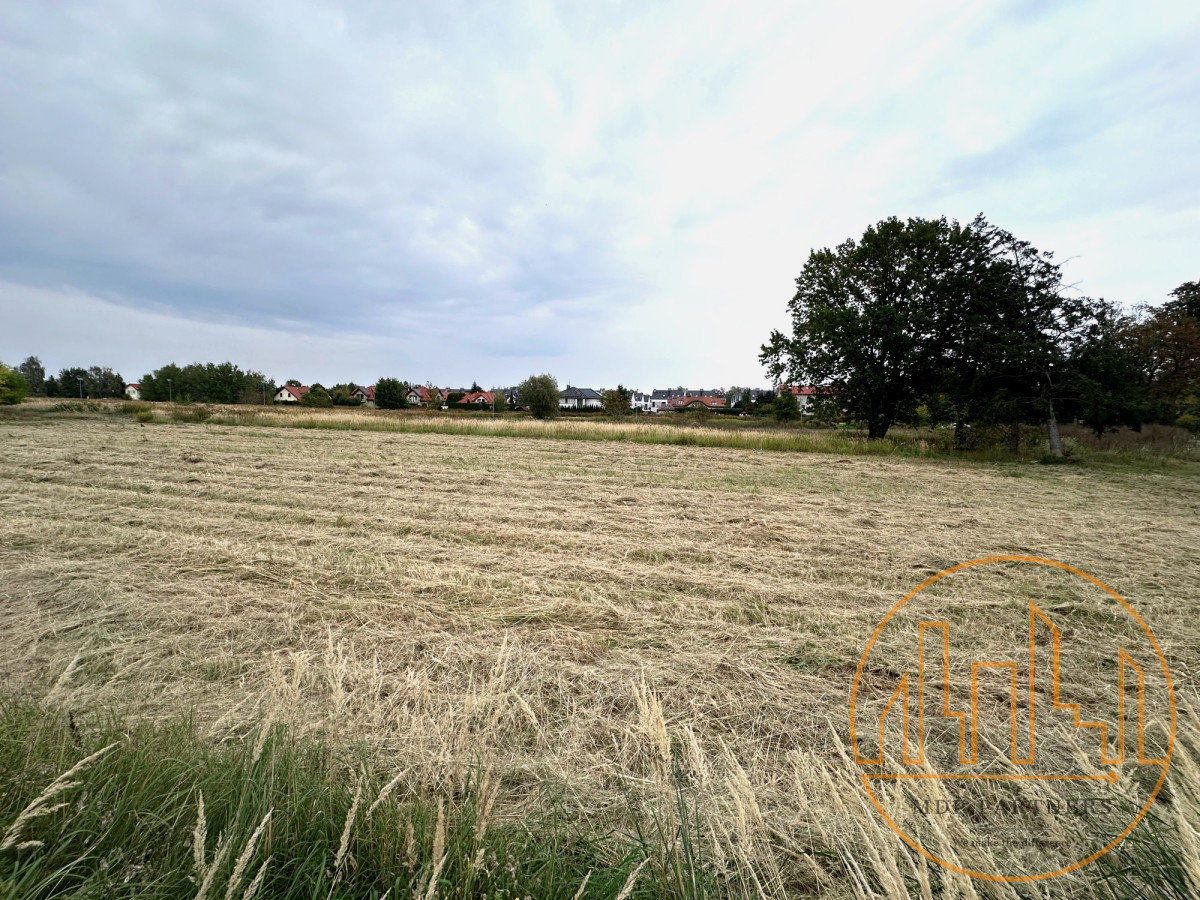 MPZP - możliwość pow. o kolejne 4000 m² - Widok 3