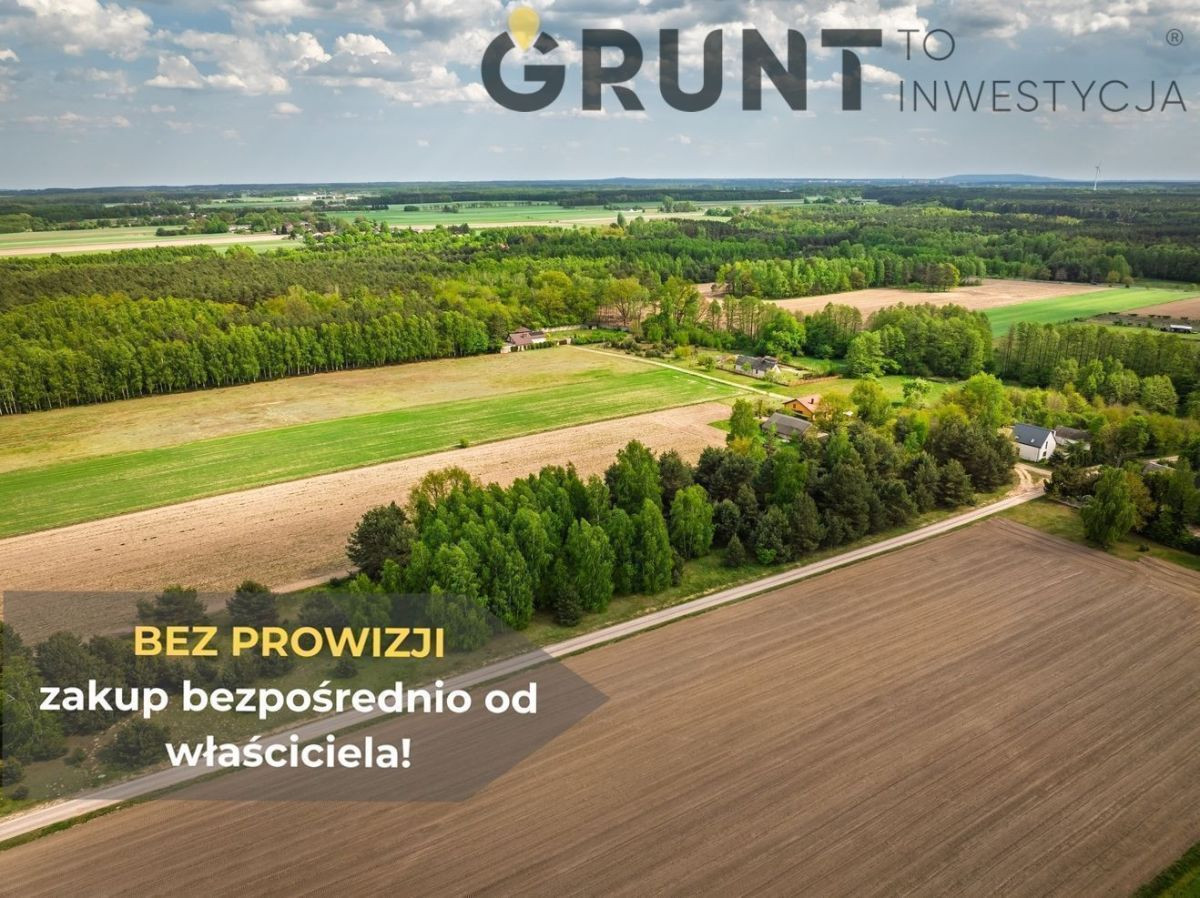 Działki budowlane położone przy ścianie lasu - Widok 2