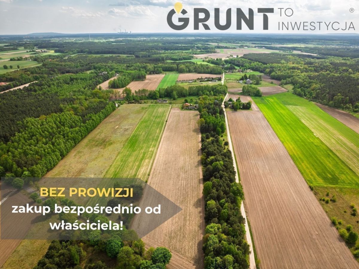 Działki budowlane położone przy ścianie lasu - Widok 5