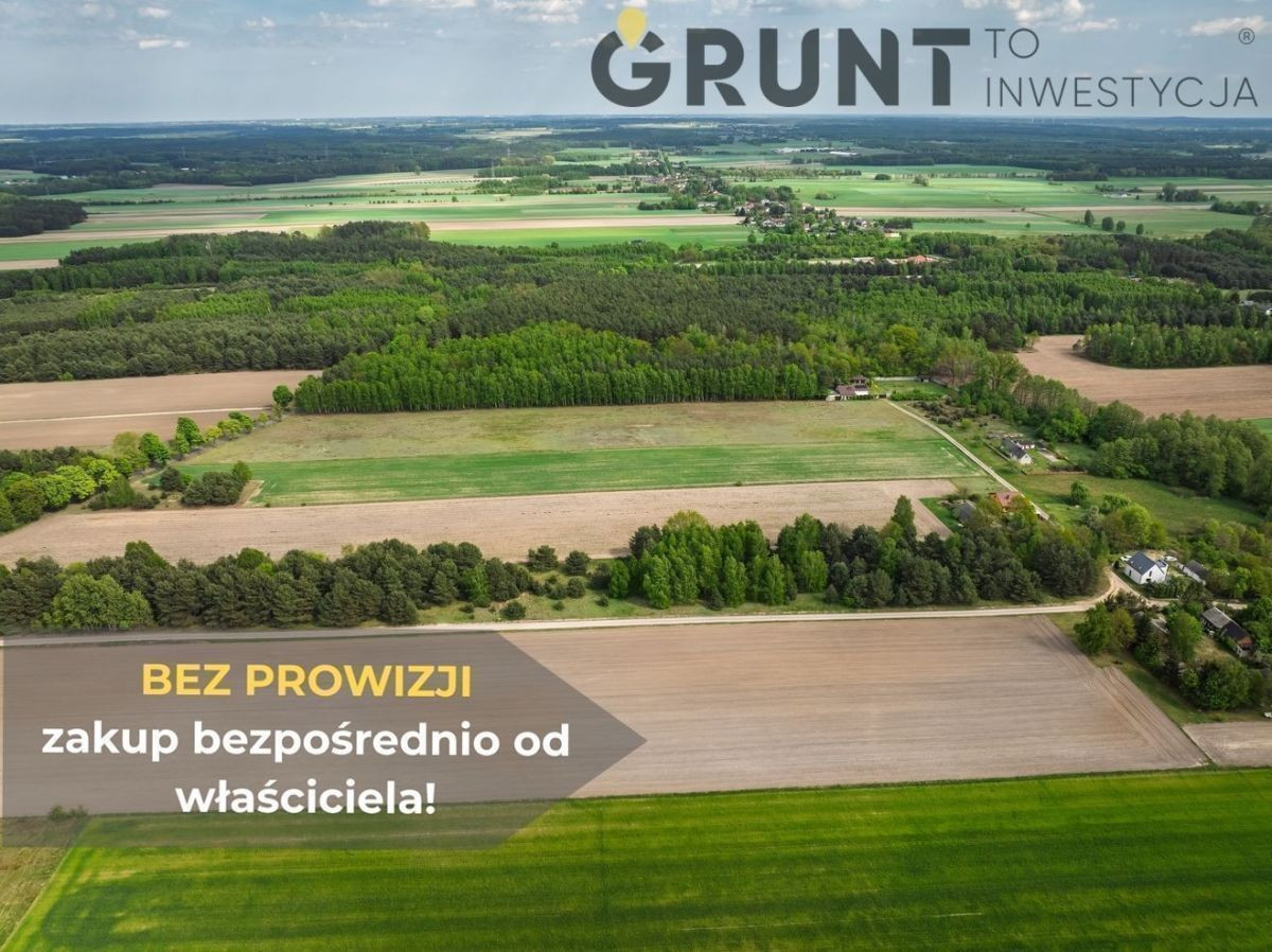 Działki budowlane położone przy ścianie lasu - Widok 4