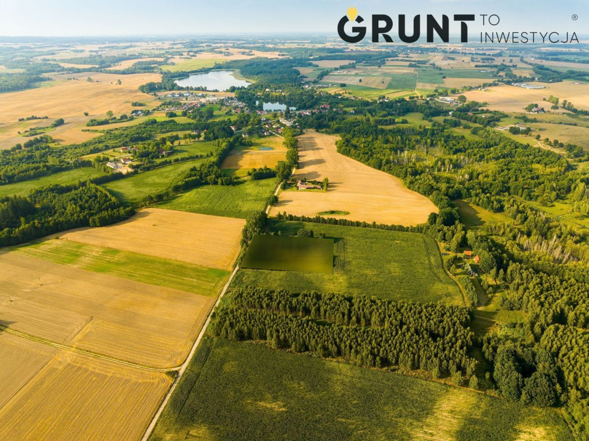Gotowa pod budowę: las i jezioro w zasięgu ręki - Widok 3